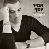 אהבתי תמיד artwork