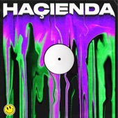 Hacienda artwork