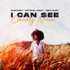 I Can See Clearly Now - Single