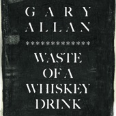 Waste of a Whiskey Drink artwork
