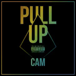 Pull Up - Single by Cam album reviews, ratings, credits