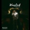Wasted - Parkito lyrics