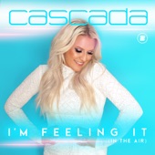 I'm Feeling It (In the Air) [Extended Mix] artwork