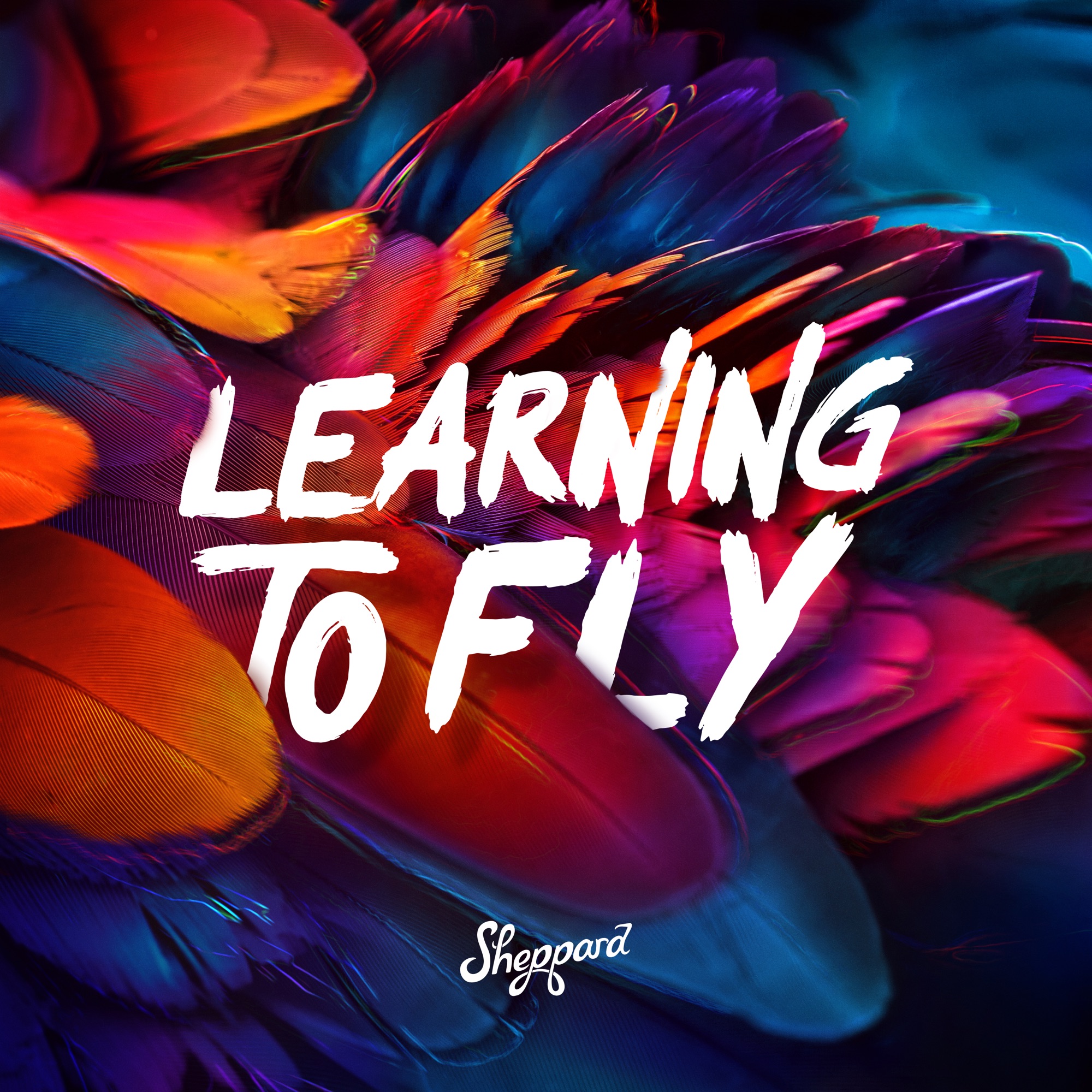 Sheppard - Learning To Fly - Single