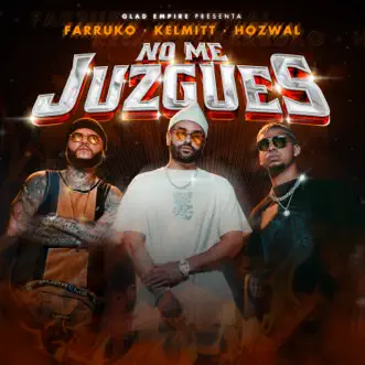 No Me Juzgues by Kelmitt, Farruko & Hozwal song reviws