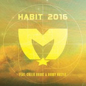 Habit 2016 (feat. Collie Buddz & Bobby Hustle) artwork