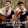 Zamba para Decir Adiós - Single