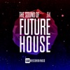 The Sound of Future House, Vol. 04