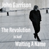 The Revolution Is Just Waiting A Name artwork