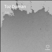 Toz Duman artwork