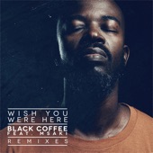 Wish You Were Here (feat. Msaki) [Remixes] artwork