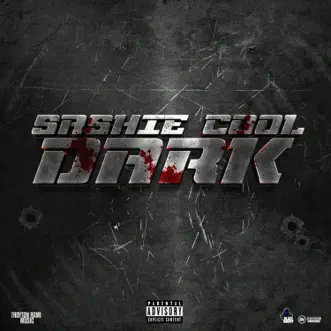 Dark by Sashie Cool & Black Shadow song reviws