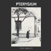 Pterygium - Experiments in Truth