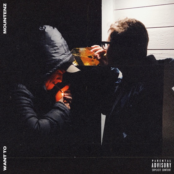 Cover artwork for Want To