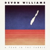 Devon Williams - Slow Motion