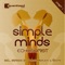 Simple Minds (Gavin Herlihy Alternative Mix) - Echonomist lyrics