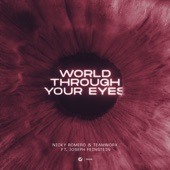 World Through Your Eyes (feat. Joseph Feinstein) [Extended Mix] artwork