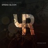 Spring Bloom - Single