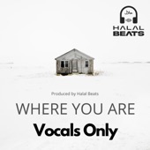 Where you are (Vocals only) artwork