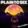 Plain To See - Single