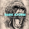 Dark Storm (feat. Mullar) - Single