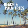 Beach & Palm Trees - Single