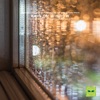 Ambi Nature - Nature Sounds of Rain on Window