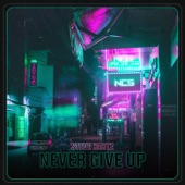 Never Give Up artwork