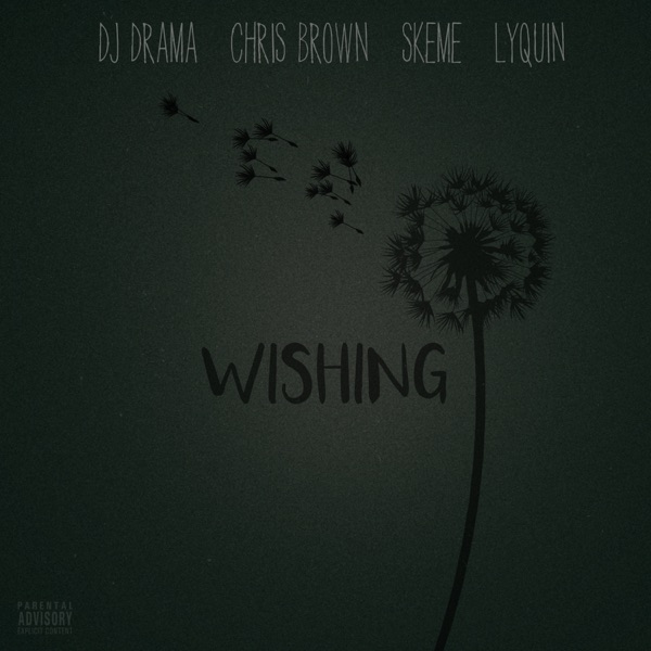 Wishing (feat. Chris Brown, Skeme & Lyquin) - Single - DJ Drama