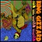 Dustbin Fletcher - King Gizzard & The Lizard Wizard lyrics