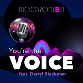 You're the Voice (feat. Darryl Blackman) - EP artwork