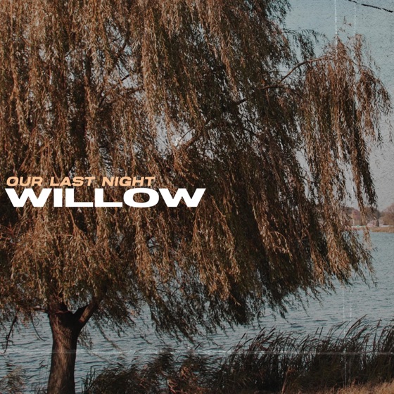 Cover artwork for Willow