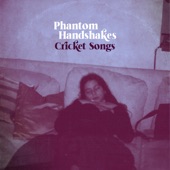 Phantom Handshakes - Cricket Songs