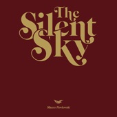 The Silent Sky artwork