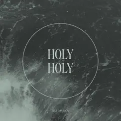 Holy, Holy (feat. Jelani Aswad) - Single by Jim Pavkov album reviews, ratings, credits