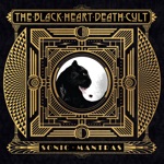 The Black Heart Death Cult - Death From Above