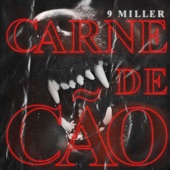 Carne de Cão artwork