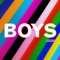 Boys (Pink Panda Remix) artwork
