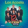 Los Acosta: 12 Grandes Éxitos, Vol. 1