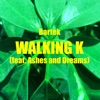 Walking K (feat. Ashes & Dreams) - Single