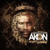 Akon - Used to Know feat. Money J & Black Frost
