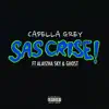 SAS CRISE (feat. ALAYZHA SKY & GHOST) - Single album lyrics, reviews, download