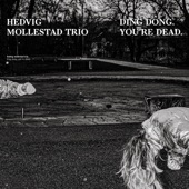 Hedvig Mollestad Trio - Leo Flash’ Return To The Underworld