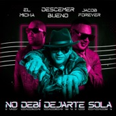 No Debí Dejarte Sola (Remix) artwork