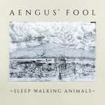 Sleep Walking Animals - Aengus' Fool