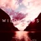 Wildlands (Festival Anthem) artwork