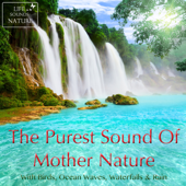 The Purest Sound of Mother Nature – Birds, Ocean Waves, Waterfalls, Rain - Life Sounds Nature