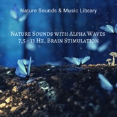 Nature Sounds with Alpha Waves 7,5 - 13 Hz, Brain Stimulation artwork
