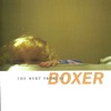 Boxer - Child Labor Laws