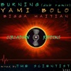 Burning (Dub Remix) - Single